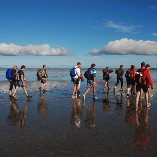 Waddenschiermonnikoog3-doenkado-belevenis-dagjeweg-dagjeuit-cadeau